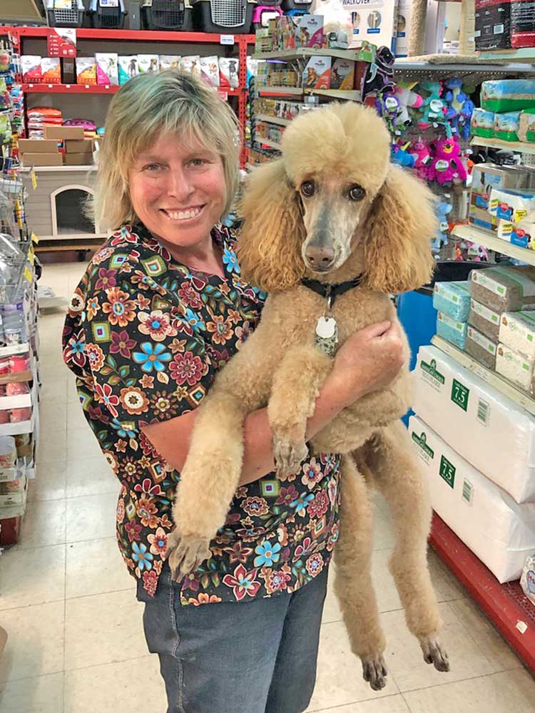 Chuck after grooming by Lynn